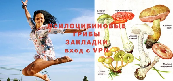 гидропоника Пестово