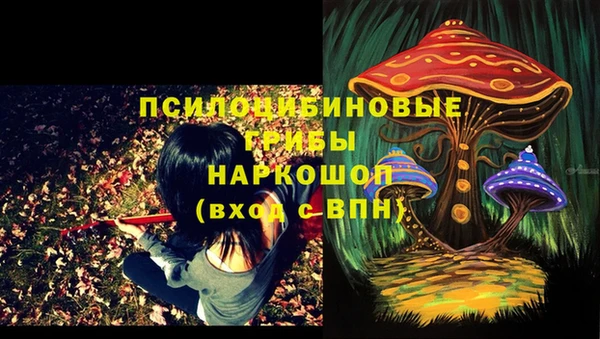гидропоника Алексин