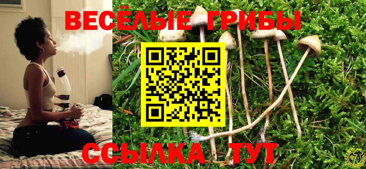 Камышлов  Псилоцибиновые грибы GOLDEN TEACHER  Вход с VPN 